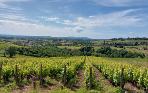 LA BEAUJOLAISE 2026